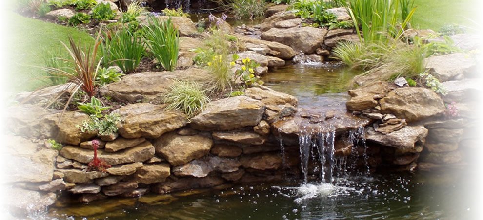 Garden and Landscaping | Pond Installation | World Group | Carlisle